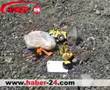 Erzincan Trafik kazas�