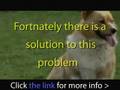 videos de FIND OUT THE TRUTH ABOUT DOG FOOD THE TRUH WILL SHOCK YOU!