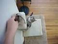 videos de Francine and her 