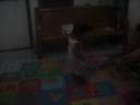 brent jules llido walks with faith - free flv video @ vwatch.tv