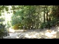 Skeggs091511  - El Corte De Madera, Redwood City CA
