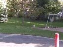 Cassels Ave Playground