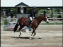 Lifeline (Pony for Sale) Lifeline (Pony for Sale)