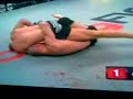 fedor emelianenko vs  matt lindland