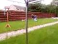 videos de crazy dog escape