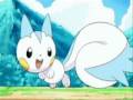 videos de PACHIRISU RUNS AROUND WHILE I PLAY UNFITTING MUSIC