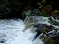 Baby Falls Header