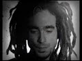 Sebastian Sturm - Back Among The Living