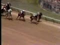 1980 Preakness Stakes - Part 1