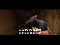Ratatouille-Remy-no-