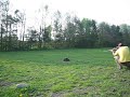 Cowshit vs .375 rifle Cowshit vs .375 rifle