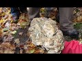 Haliburton Rocks!