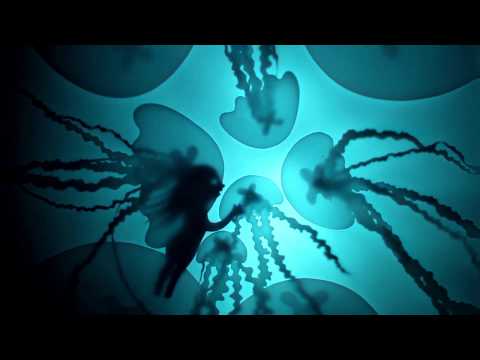 Sous le Cyan - Ladylike Lily