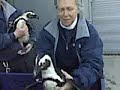 Penguins Up Close-2/23/09-Mystic Aquarium