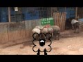 Save The Sheep, Save The World - Heroes Parody