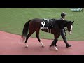 【４Ｋ現地撮影】２０１９年１２月２１日阪神競馬９Ｒ江坂特別メロディレーン４着！