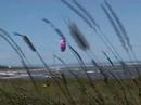 Shippagan