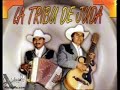 la tribu de juda el trailero