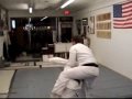 NIHON GOSHIN AIKIDO