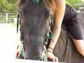 videos de BRIEANA  AND JUNIOR EIA RESCUE F.R.I.E.N.D.S.
