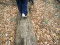 videos de Environmental Science Trip