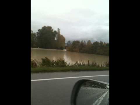 Guarda il video