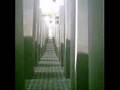 Gang durch das Holocaust-Mahnmal