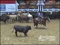 2007 NCHA Classic Challenge Open Champion