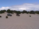 Lancelin 4x4 dune riding