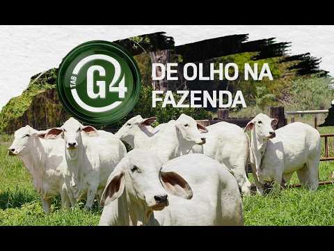 De Olho na Fazenda TAB G4 | 16/03/26