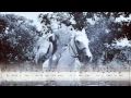 THE WHITE HORSES TV THEME by JACKY with Jackie's Lee's personal story and lyrics