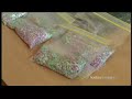 The dangers of ecstasy -  \"Today Tonight\" report