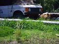 Lions on land rover