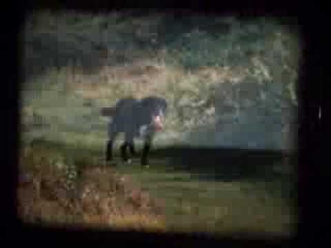 Hope Mountain / Mynydd yr Hob (Super 8)