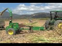 Tropical-Sustainable