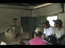 Tropical-Sustainable
