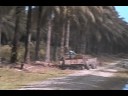 Tropical-Sustainable
