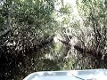everglades air boat ride