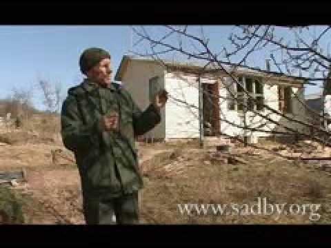 YouTube Трейлер