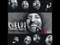 Cheloo – daca eram