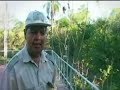 Opini�n de maestras brasileras sobre la Guerra del Paraguay