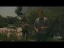 Lakeview Terrace Trailer
