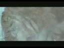 Lacrimas Profundere - Ave END