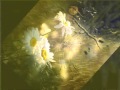 Matti Paalanen feat.PRONTOMUSIC here comes the rain - sperimental
