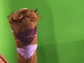 Celebrity Sock Puppets  :: The Birthday Bunch