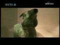 videos de Tapir-shaped Wine Vessel in 1100BC