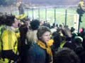 ante gia sas