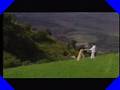Baadshah - Hum To Deewane_New