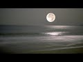Info-We Choose The Moon