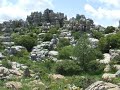 Andalusië - Nationaal Park \ Andalusië - Nationaal Park \